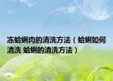 冻蛤蜊肉的清洗方法（蛤蜊如何清洗 蛤蜊的清洗方法）
