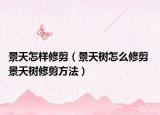 景天怎样修剪（景天树怎么修剪 景天树修剪方法）