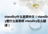 standby什么意思中文（standby是什么意思啊 standby怎么翻译）