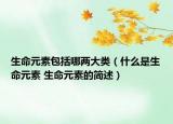 生命元素包括哪两大类（什么是生命元素 生命元素的简述）