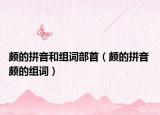颇的拼音和组词部首（颇的拼音 颇的组词）