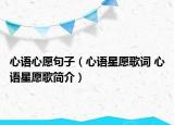 心语心愿句子（心语星愿歌词 心语星愿歌简介）
