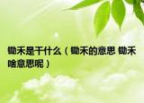 锄禾是干什么（锄禾的意思 锄禾啥意思呢）