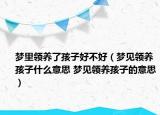 梦里领养了孩子好不好（梦见领养孩子什么意思 梦见领养孩子的意思）