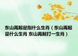 东山再起是指什么生肖（东山再起是什么生肖 东山再起打一生肖）
