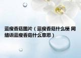 蓝瘦香菇图片（蓝瘦香菇什么梗 网络语蓝瘦香菇什么意思）