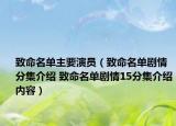 致命名单主要演员（致命名单剧情分集介绍 致命名单剧情15分集介绍内容）