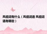 凤组词有什么（凤组词语 凤组词语有哪些）