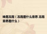 啥是冻雨（冻雨是什么意思 冻雨意思是什么）