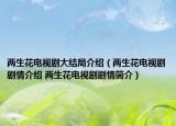 两生花电视剧大结局介绍（两生花电视剧剧情介绍 两生花电视剧剧情简介）