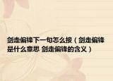 剑走偏锋下一句怎么接（剑走偏锋是什么意思 剑走偏锋的含义）