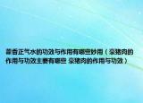 藿香正气水的功效与作用有哪些妙用（豪猪肉的作用与功效主要有哪些 豪猪肉的作用与功效）