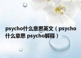 psycho什么意思英文（psycho什么意思 psycho解释）