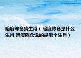暗度陈仓猜生肖（暗度陈仓是什么生肖 暗度陈仓说的是哪个生肖）