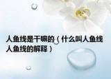 人鱼线是干嘛的（什么叫人鱼线 人鱼线的解释）