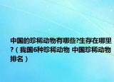 中国的珍稀动物有哪些?生存在哪里?（我国6种珍稀动物 中国珍稀动物排名）