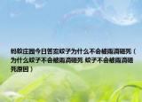 蚂蚁庄园今日答案蚊子为什么不会被雨滴砸死（为什么蚊子不会被雨滴砸死 蚊子不会被雨滴砸死原因）