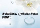 夜猫歌曲mtv（夜猫歌词 夜猫歌词赏析）