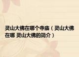 灵山大佛在哪个寺庙（灵山大佛在哪 灵山大佛的简介）