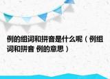 例的组词和拼音是什么呢（例组词和拼音 例的意思）