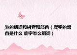驰的组词和拼音和部首（鹿字的部首是什么 鹿字怎么组词）