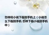 怎样将小说下载到手机上（小说怎么下载到手机 怎样下载小说到手机中）