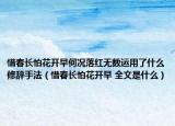 惜春长怕花开早何况落红无数运用了什么修辞手法（惜春长怕花开早 全文是什么）