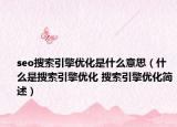 seo搜索引擎优化是什么意思（什么是搜索引擎优化 搜索引擎优化简述）