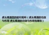 虎头蜂酒真的能壮阳吗（虎头蜂酒的功效与作用 虎头蜂酒的功效与作用有哪些）