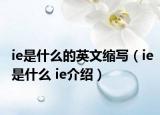 ie是什么的英文缩写（ie是什么 ie介绍）