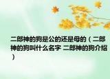 二郎神的狗是公的还是母的（二郎神的狗叫什么名字 二郎神的狗介绍）