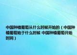 中国种植葡萄从什么时候开始的（中国种植葡萄始于什么时候 中国种植葡萄开始时间）