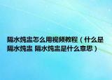 隔水炖盅怎么用视频教程（什么是隔水炖盅 隔水炖盅是什么意思）