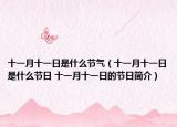 十一月十一日是什么节气（十一月十一日是什么节日 十一月十一日的节日简介）