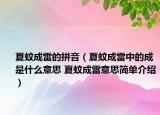 夏蚊成雷的拼音（夏蚊成雷中的成是什么意思 夏蚊成雷意思简单介绍）
