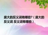 庞大的反义词有哪些?（庞大的反义词 反义词有哪些）