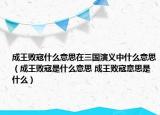 成王败寇什么意思在三国演义中什么意思（成王败寇是什么意思 成王败寇意思是什么）