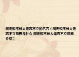 树无根不长人无志不立的名言（树无根不长人无志不立意思是什么 树无根不长人无志不立意思介绍）