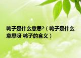 鸭子是什么意思?（鸭子是什么意思呀 鸭子的含义）