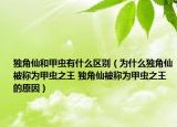 独角仙和甲虫有什么区别（为什么独角仙被称为甲虫之王 独角仙被称为甲虫之王的原因）