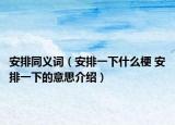 安排同义词（安排一下什么梗 安排一下的意思介绍）