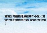 爱情公寓拍摄地点在哪个小区（爱情公寓拍摄地点在哪 爱情公寓介绍）