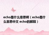 echo是什么意思啊（echo是什么意思中文 echo的解释）