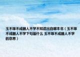 玉不琢不成器人不学不知道出自哪本书（玉不琢不成器人不学下句是什么 玉不琢不成器人不学的意思）