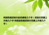 陕西乾陵武则天的墓碑有几个字（武则天墓碑上共有几个字 陕西省乾陵武则天墓碑上共有几个字）
