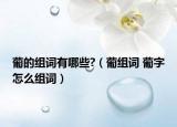 葡的组词有哪些?（葡组词 葡字怎么组词）