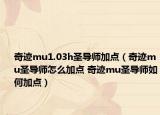 奇迹mu1.03h圣导师加点（奇迹mu圣导师怎么加点 奇迹mu圣导师如何加点）