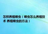 怎样养殖蝗虫（蝗虫怎么养殖技术 养殖蝗虫的方法）