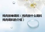 炖肉放啥调料（炖肉放什么调料 炖肉调料的介绍）