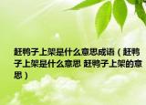 赶鸭子上架是什么意思成语（赶鸭子上架是什么意思 赶鸭子上架的意思）